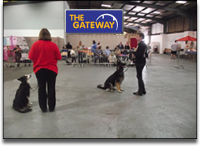 dog-training-puppy-training-group-classes-in-kent-www.thedogtrainer-queenborough-sheerness-medway-sittingbourne